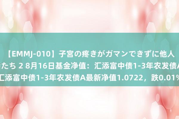 【EMMJ-010】子宮の疼きがガマンできずに他人棒でヨガリ狂う美人妻たち 2 8月16日基金净值：汇添富中债1-3年农发债A最新净值1.0722，跌0.01%