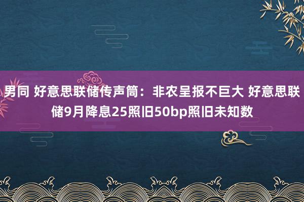 男同 好意思联储传声筒：非农呈报不巨大 好意思联储9月降息25照旧50bp照旧未知数