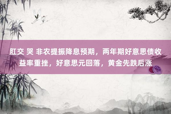 肛交 哭 非农提振降息预期，两年期好意思债收益率重挫，好意思元回落，黄金先跌后涨