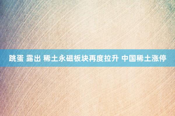 跳蛋 露出 稀土永磁板块再度拉升 中国稀土涨停