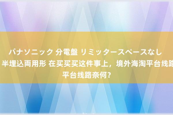 パナソニック 分電盤 リミッタースペースなし 露出・半埋込両用形 在买买买这件事上，境外海淘平台线路奈何？