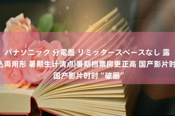 パナソニック 分電盤 リミッタースペースなし 露出・半埋込両用形 暑期生计清点|暑期档票房更正高 国产影片时时“破圈”