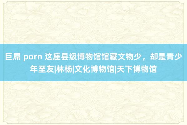 巨屌 porn 这座县级博物馆馆藏文物少，却是青少年至友|林杨|文化博物馆|天下博物馆