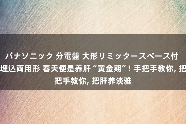 パナソニック 分電盤 大形リミッタースペース付 露出・半埋込両用形 春天便是养肝“黄金期”! 手把手教你， 把肝养淡雅