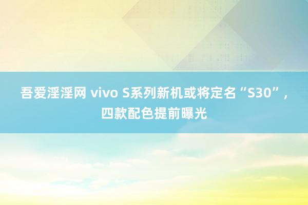 吾爱淫淫网 vivo S系列新机或将定名“S30”，四款配色提前曝光