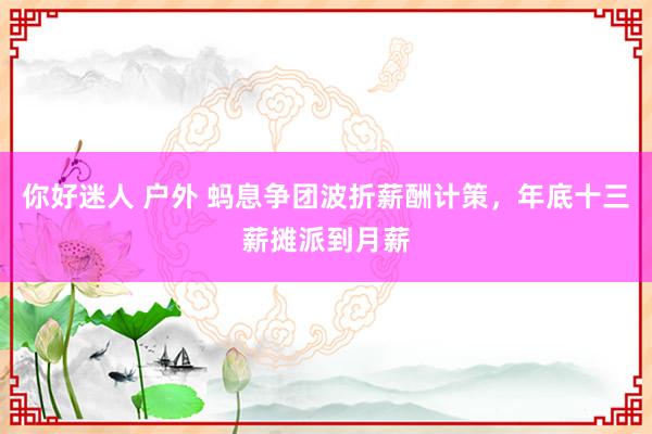 你好迷人 户外 蚂息争团波折薪酬计策，年底十三薪摊派到月薪